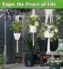 Beige Macrame Indoor and Handmade Hanging Rope Planter (Set of 2)