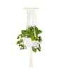 Beige Macrame Indoor and Handmade Hanging Rope Planter (Set of 2)