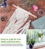 Beige Macrame Indoor and Handmade Hanging Rope Planter (Set of 2)