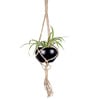 Beige Macrame Jute Hanging Planter with Metal Black Pot