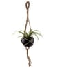 Beige Macrame Jute Hanging Planter with Metal Black Pot