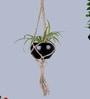 Beige Macrame Jute Hanging Planter with Metal Black Pot