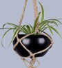 Beige Macrame Jute Hanging Planter with Metal Black Pot