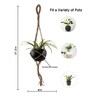 Beige Macrame Jute Hanging Planter with Metal Black Pot