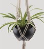 Beige Macrame Large Hanging Rope Planter with Metal Black Pot (Set of 2)