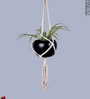 Beige Macrame Medium Hanging Rope Planter with Metal Black Pot (Set of 2)