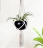 Beige Macrame Medium Hanging Rope Planter with Metal Black Pot (Set of 2)