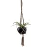Beige Macrame Medium Hanging Rope Planter with Metal Black Pot (Set of 2)