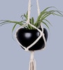 Beige Macrame Medium Hanging Rope Planter with Metal Black Pot (Set of 2)