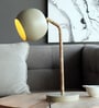 Brown Metal Shade Study Lamp with Brown Base