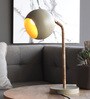 Brown Metal Shade Study Lamp with Brown Base