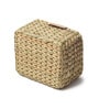 Beige Natural Fibre Fruit Storage basket