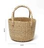 Beige Natural Fibre Hamper Fruit Basket