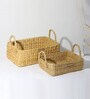 Beige Natural Fibre Set of 2 Baskets