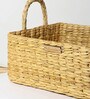 Beige Natural Fibre Set of 2 Baskets