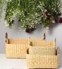 Beige Natural Fibre Set of 3 Basket
