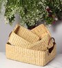 Beige Natural Fibre Set of 3 Basket