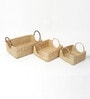 Beige Natural Fibre Set of 3 Basket