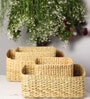Beige Natural Fibre Set of 4 Organiser Tray and Storage Basket