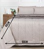 Beige Noor Reversible Single Quilt 60X90 With 1 Pillow Cover