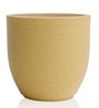 Beige Pcup Round 8 Inches Planter