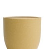 Beige Pcup Round 8 Inches Planter