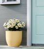 Beige Pcup Round 12 Inches Planter