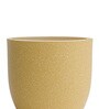 Beige Pcup Round 2 Inches Planter