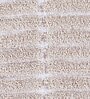 Beige Polyester 24X16 Inches Anti-Skid  Bath Mat