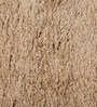 Beige Polyester Shaggy 5' x 3' Hand tufted Carpet