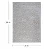 Beige Polyester Shaggy 5' x 3' Hand tufted Carpet