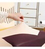 Beige Polyester Abstract Stretchable Chair Cover (1Pc)