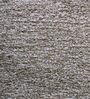 Beige Polyester Shaggy 7' x 5' Hand tufted Carpet