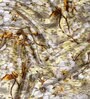 Beige Polyester Floral 9ft Semisheer Eyelet 2 Pc Long Door Curtains