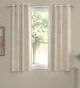 Geometric Polyester Solid 5 Ft  Semisheer Eyelet 2 Window Curtains
