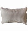 Beige Polyester Solid 600 GSM King Size Quilts with 2 Pillow Covers