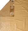 Beige Solid Polyester 5 Ft Semisheer Eyelet Window Curtains (Set of 2)