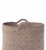 Beige Polypropylene 52 Ltr (1Pc) Storage Basket