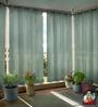 Beige Polypropylene Solid 5ft Semisheer Eyelet Window Curtains (Pack of 2)