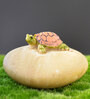 Beige Resin Tortoise On A Rock Miniature Set Of 2 Garden Figurine