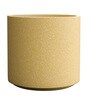 Beige Round Shaped Polymer Planter