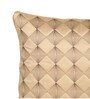 Beige Satin Abstract 16x16 inches Cushion Covers (Pack of 2)