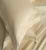 Beige Self Print 300 TC Cotton King Size Bed Sheet with 2 Pillow Covers 23 Collection