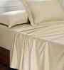 Beige Self Print 300 TC Cotton King Size Bed Sheet with 2 Pillow Covers 23 Collection