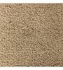 Beige Solid Polyester 24x16 Inches Anti Skid Bath Mat