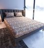 Beige Floral  TC Cotton Super King Bedsheet with 2 Pillow Covers