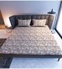 Beige Floral  TC Cotton Super King Bedsheet with 2 Pillow Covers