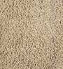 Beige Solid 100% Polyester 59x23.6 Inches AntiSkid Bath Mat