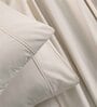 Beige Solid 144 TC 100% Cotton King Bedsheet with 2 Pillow Covers