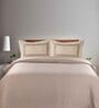 Beige Solid 144 TC 100% Cotton Queen Sized Bed Sheets with 2 Pillow Covers